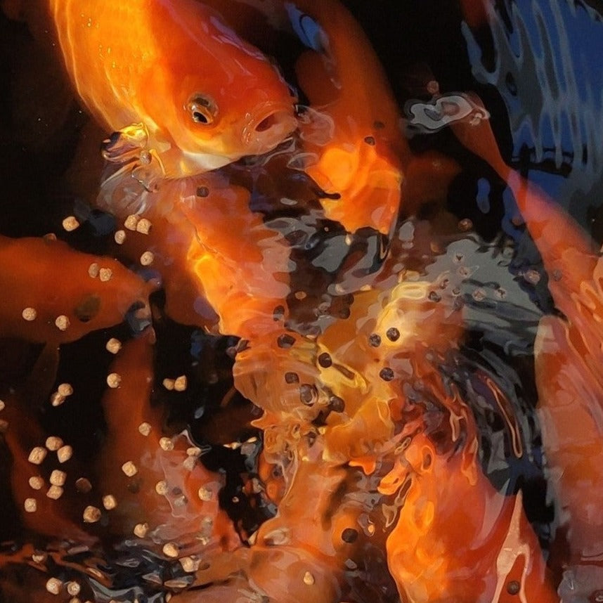 Distributeur automatique de nourriture pour poisson