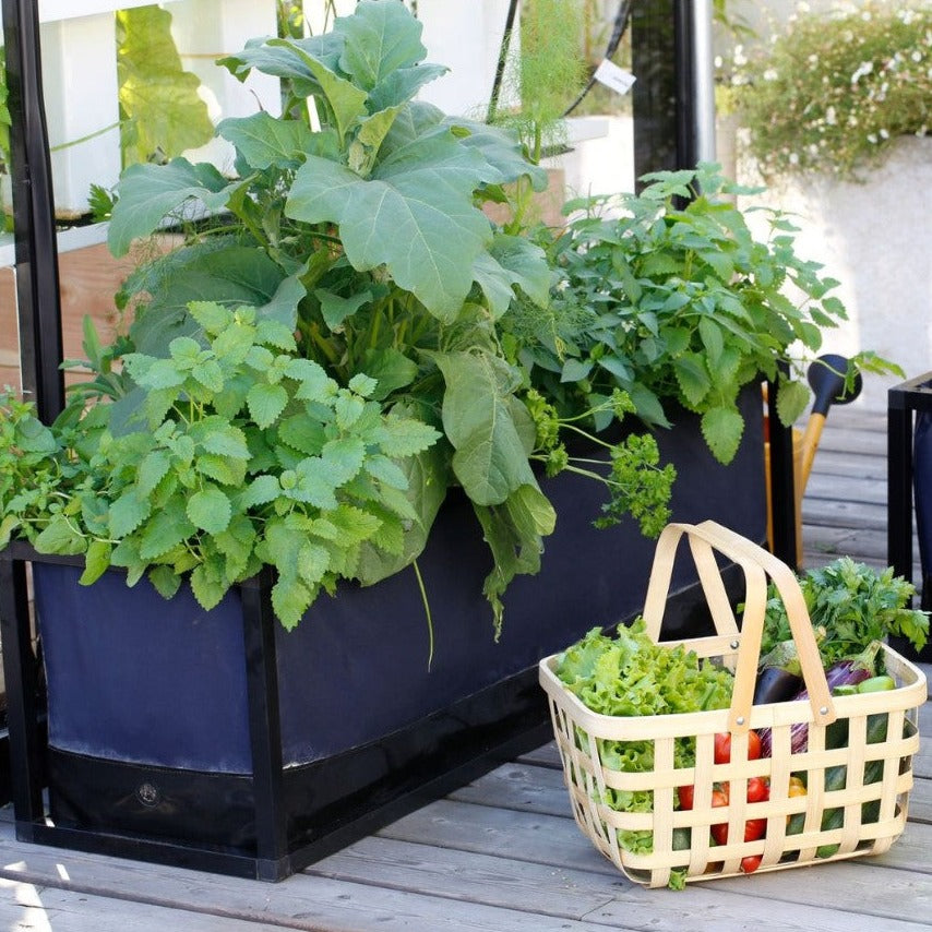 Perma S Vegetable Garden