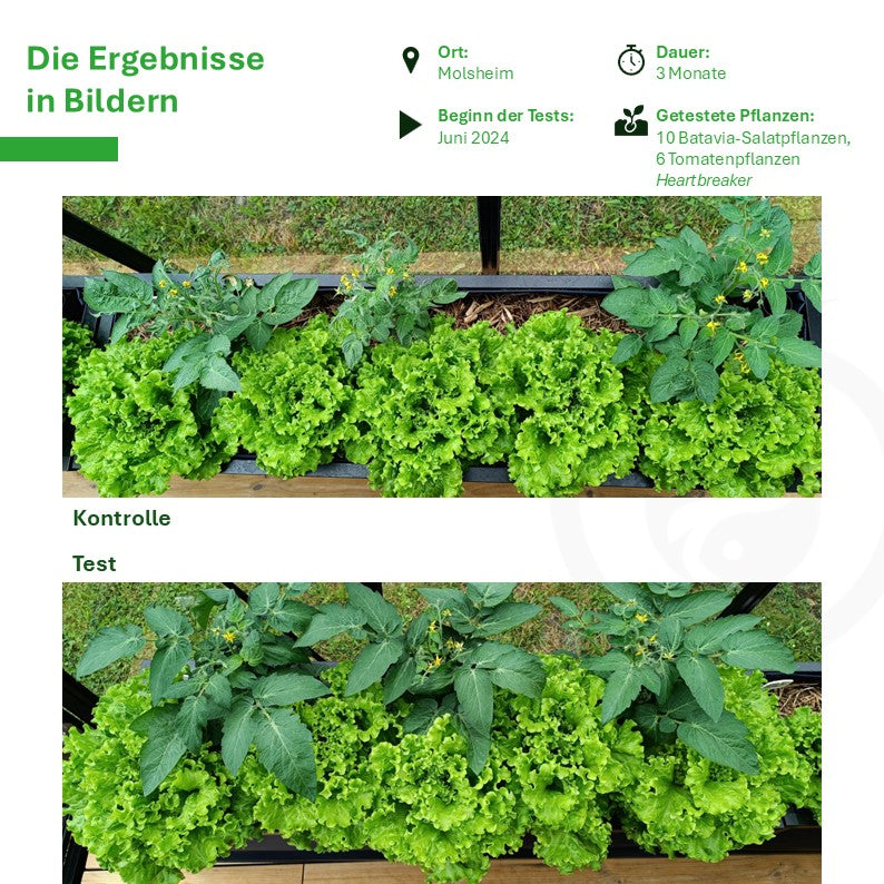 Perma M Vegetable Garden