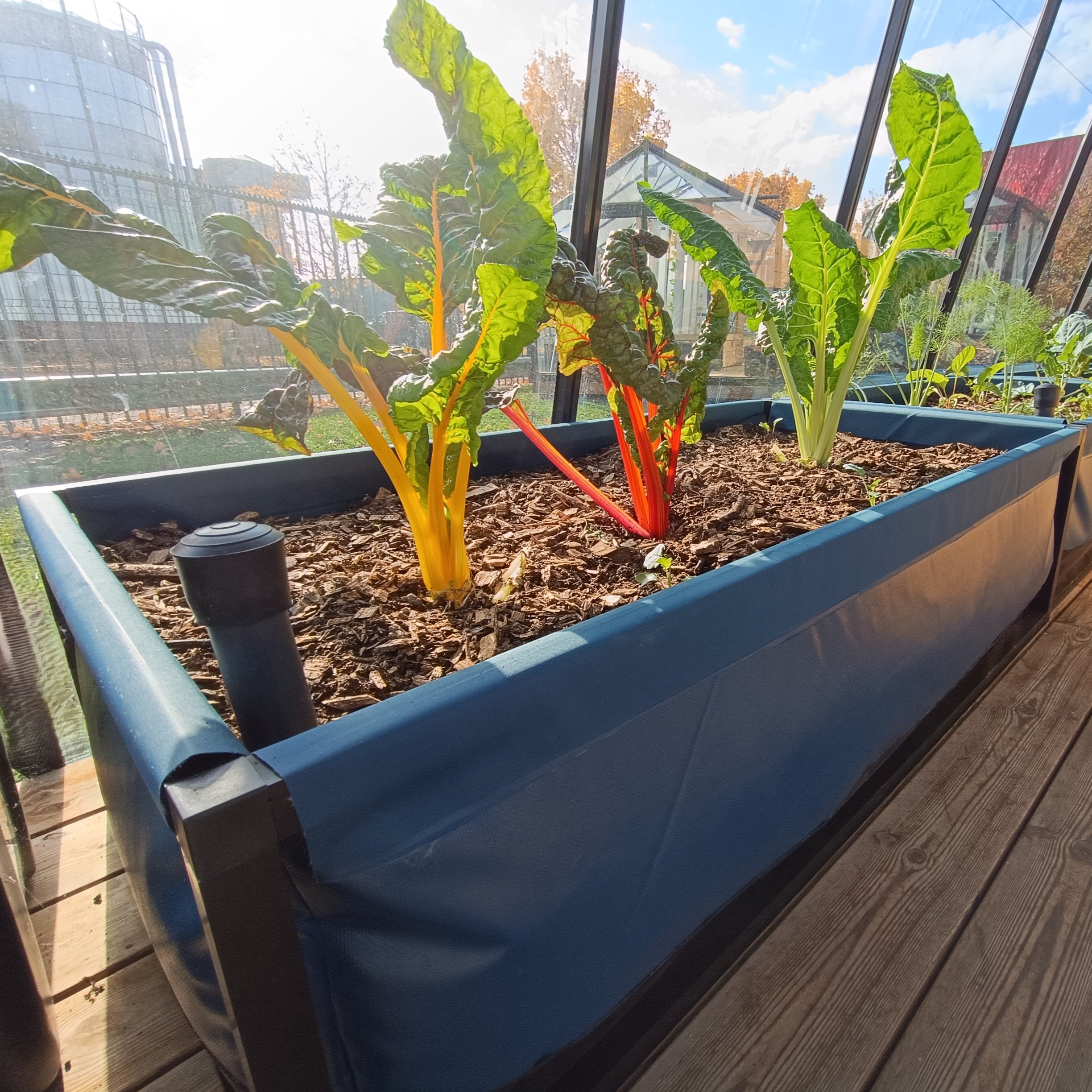 Potager en permaculture L