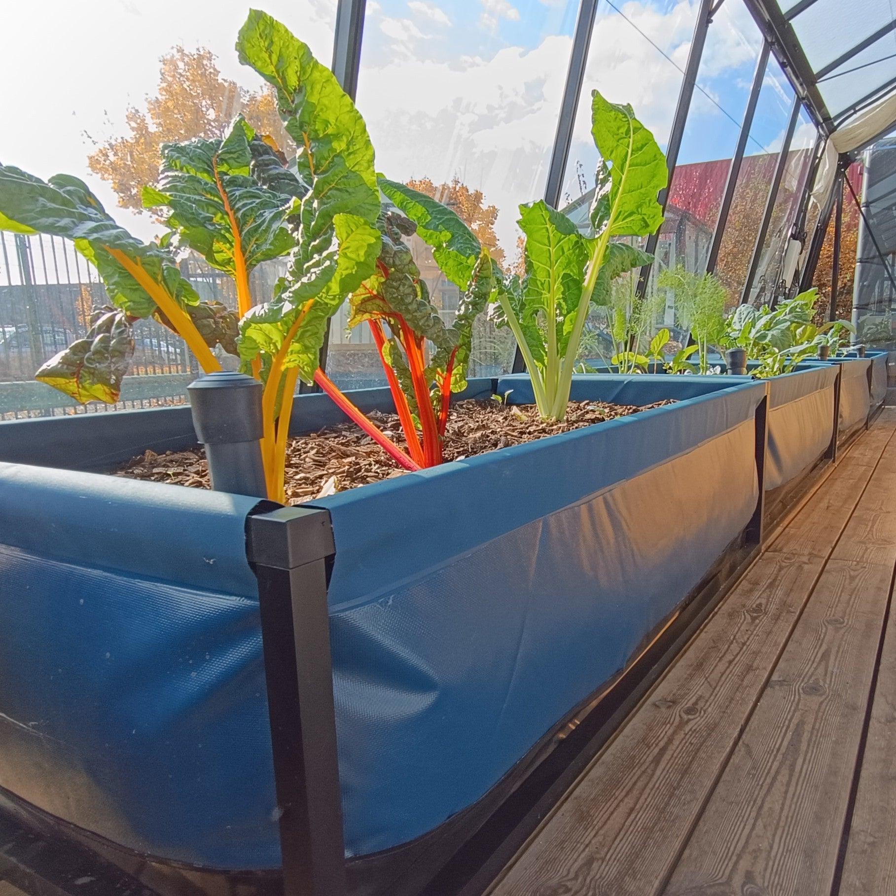 Potager en permaculture L