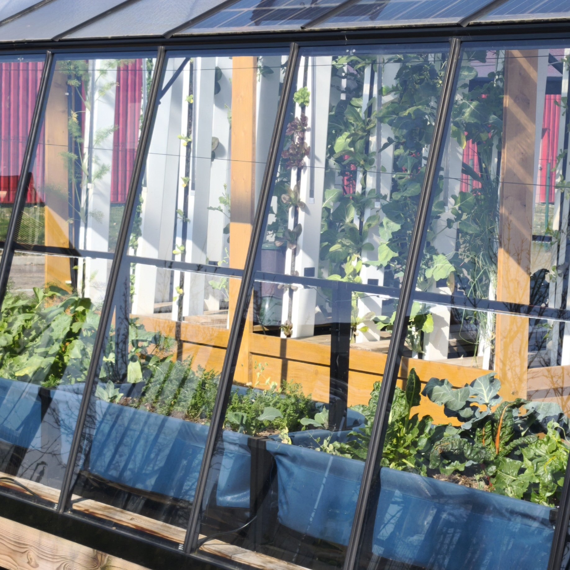 Perma M Vegetable Garden