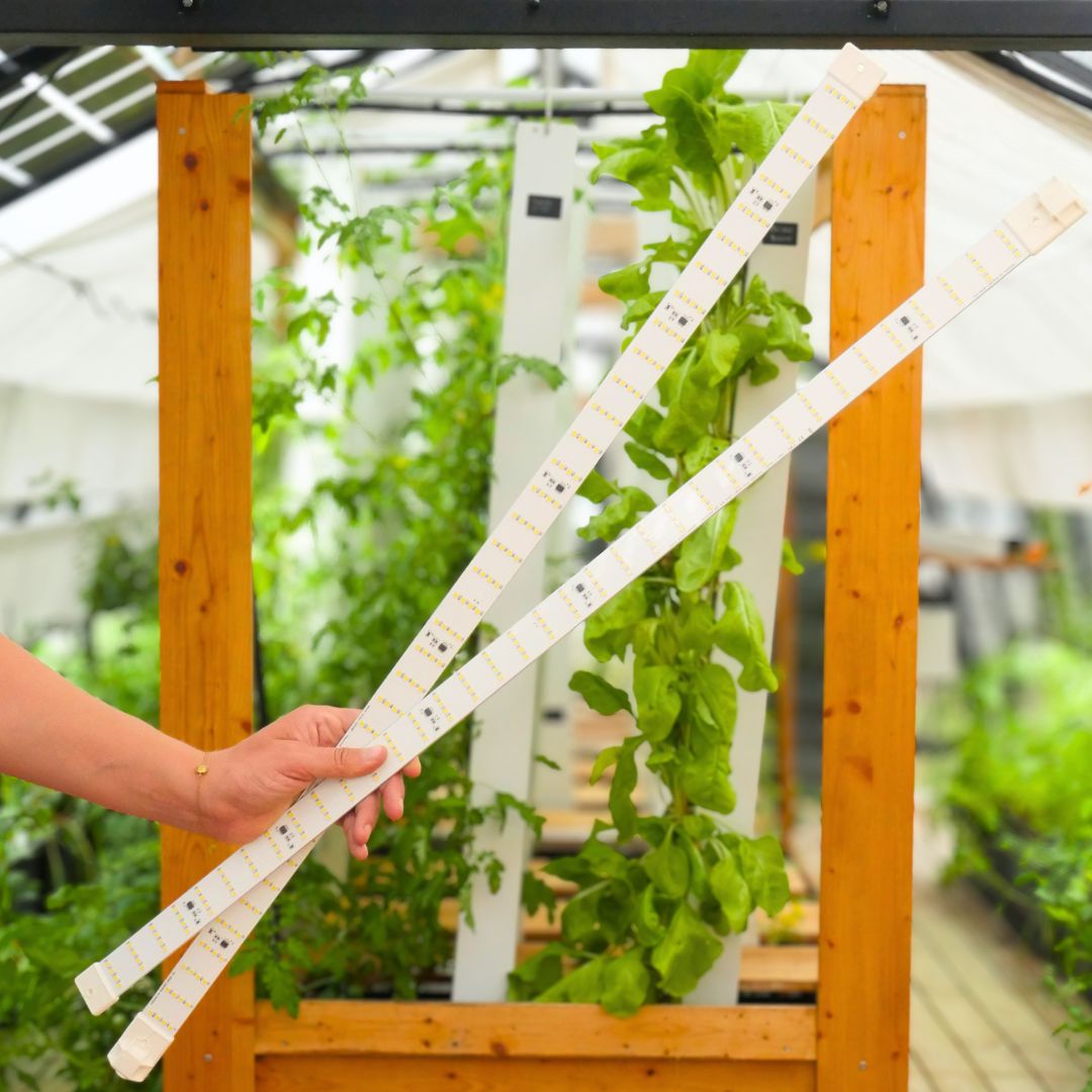 LED Lighting Module – Family Greenhouse