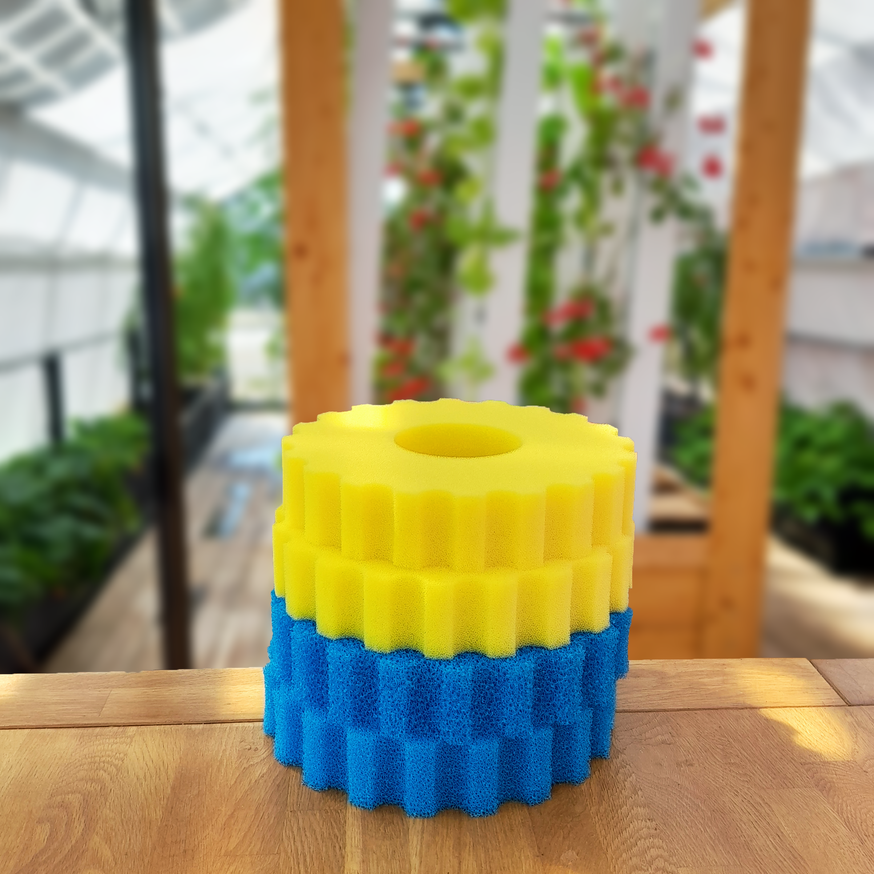 Mousses de remplacement pour filtre Family (2x jaune 2x bleue)