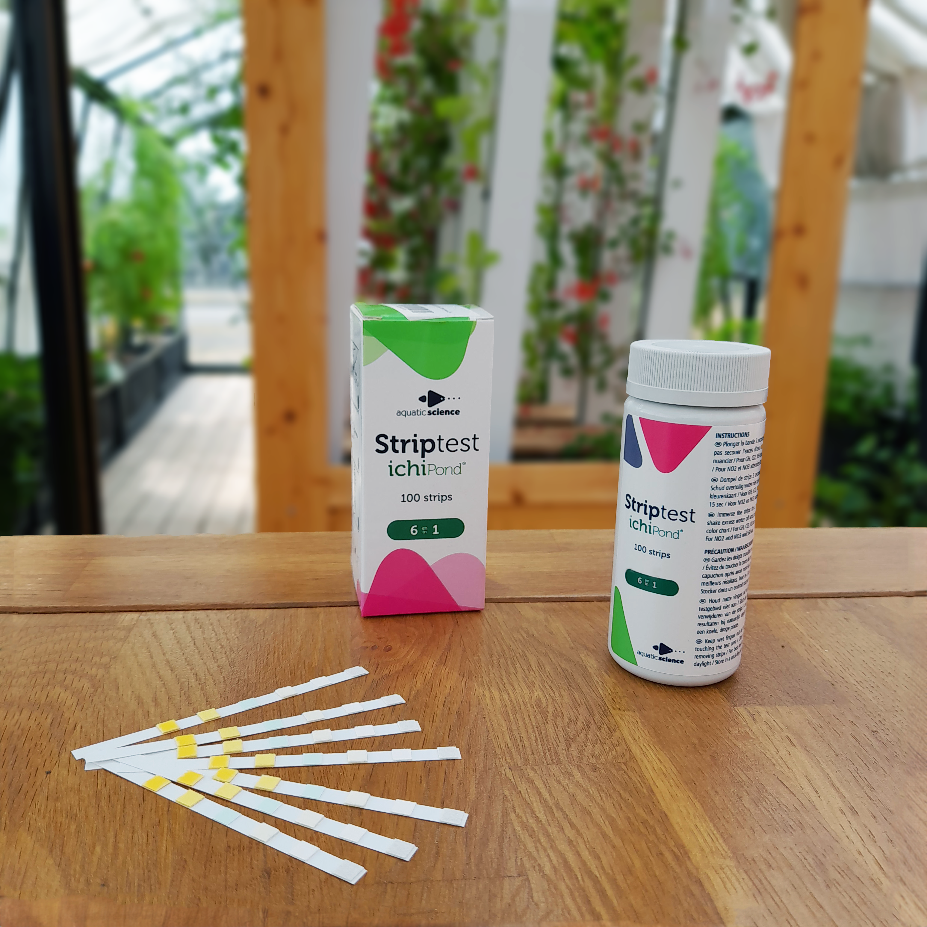 6 in sales 1 test strips