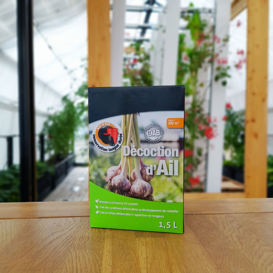 Blattlausbekämpfung mit Knoblauchmist - 1,5 l