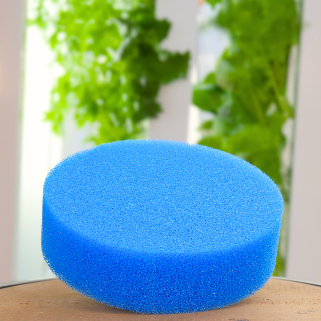 Mousse filtrante de remplacement – Serre City