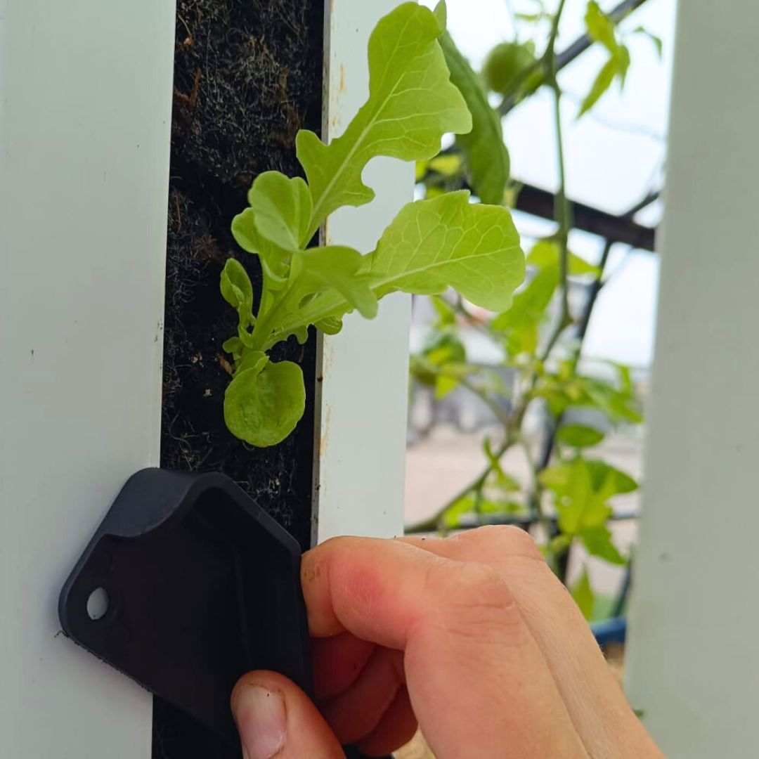 Greenkey (lot de 2)