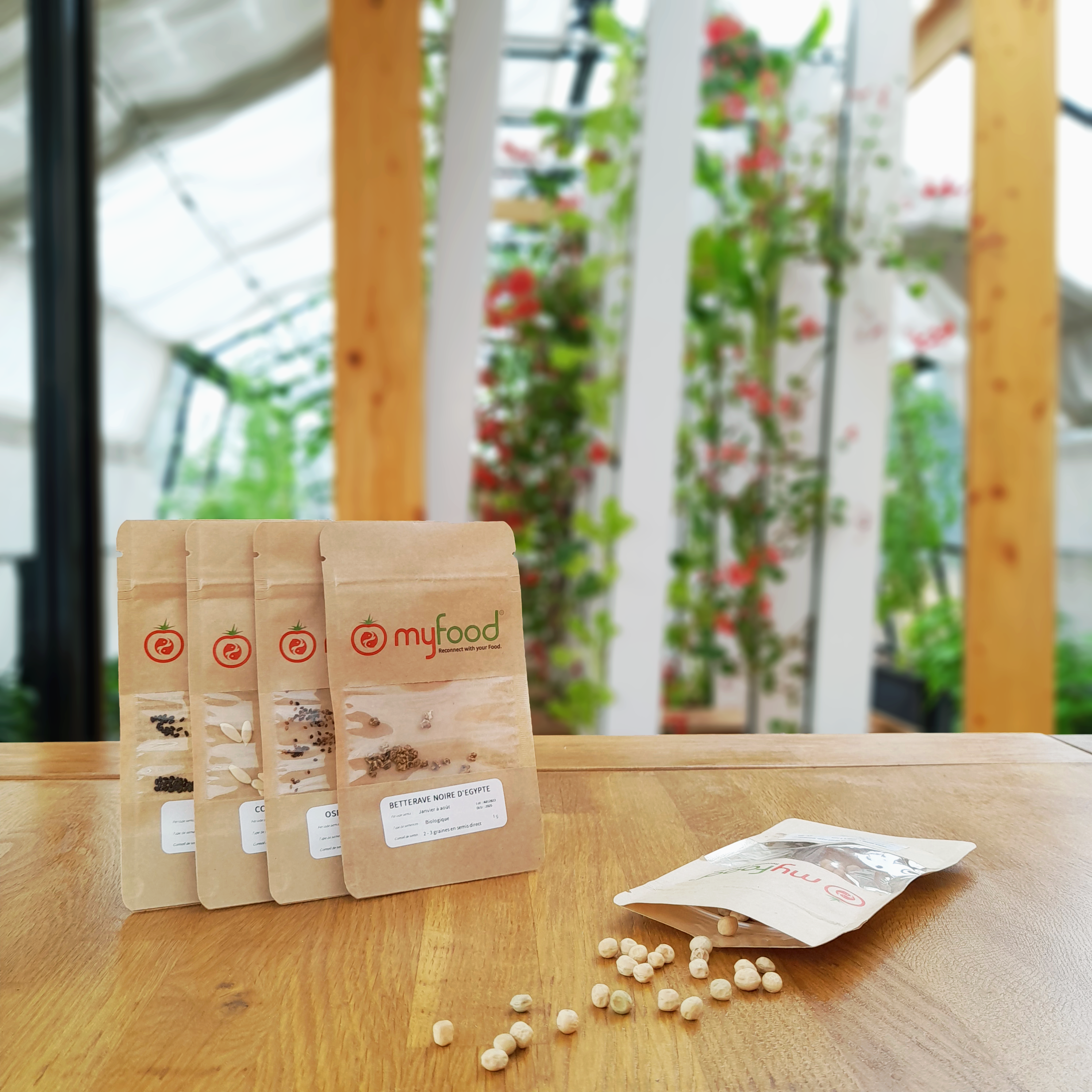 Seed Kit Spring / Summer