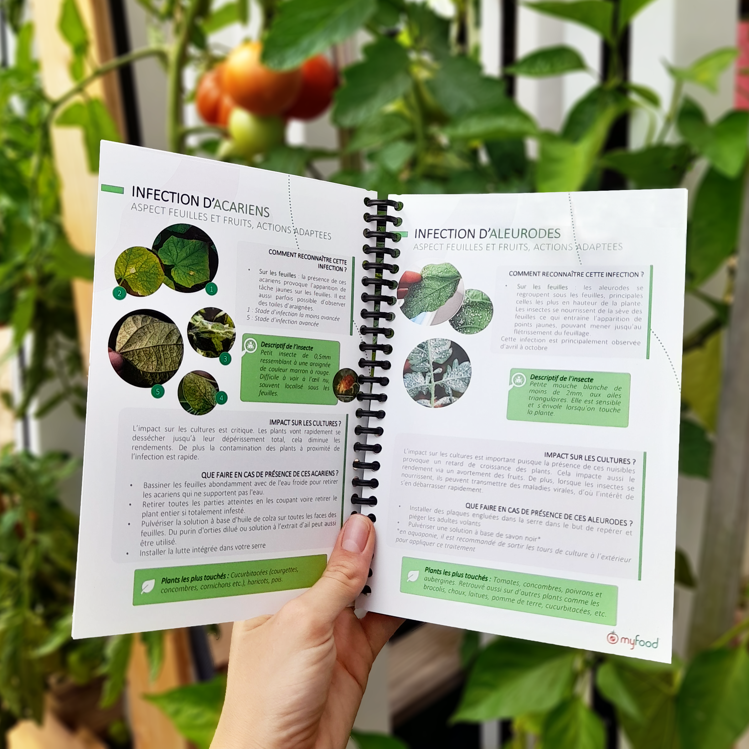 Leaflet - guide for recognition of disease and parasits