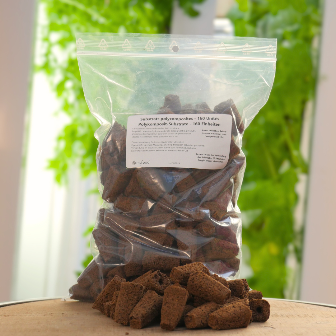 Anzuchttöpfchen – 160er Pack