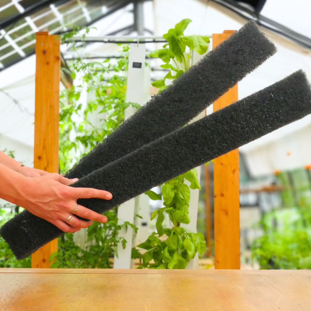 Root Anchoring Foam – City Greenhouse (Pack of 2)