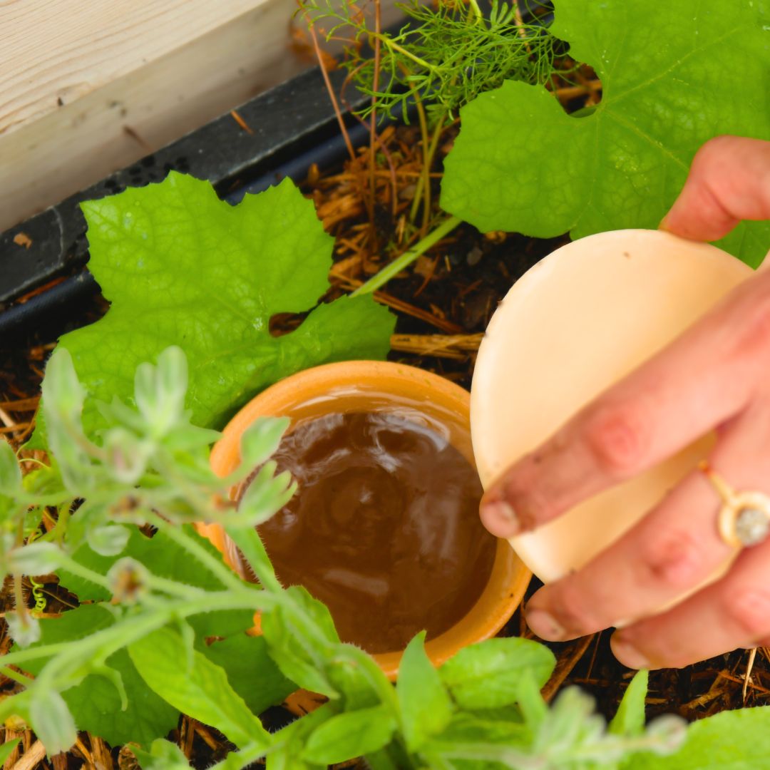 Olla - jarre d'irrigation à enterrer - 2L