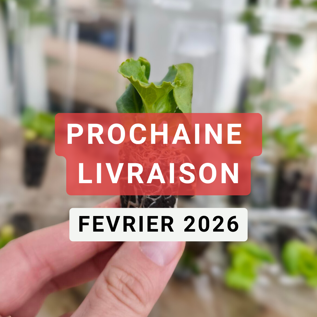 Anbaufertige Pflanzen