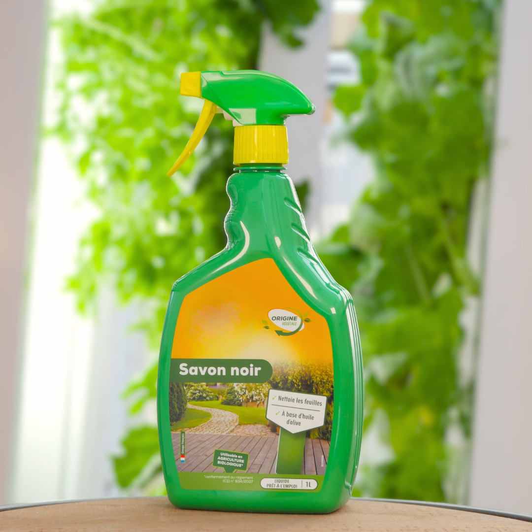 Black Soap Anti-Aphid Treatment – 1 L