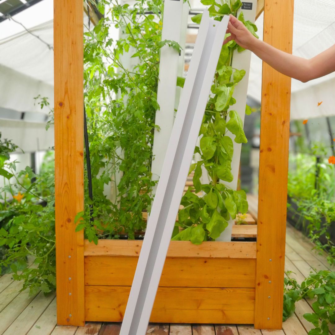 Vertical Growing Tower – Single Unit