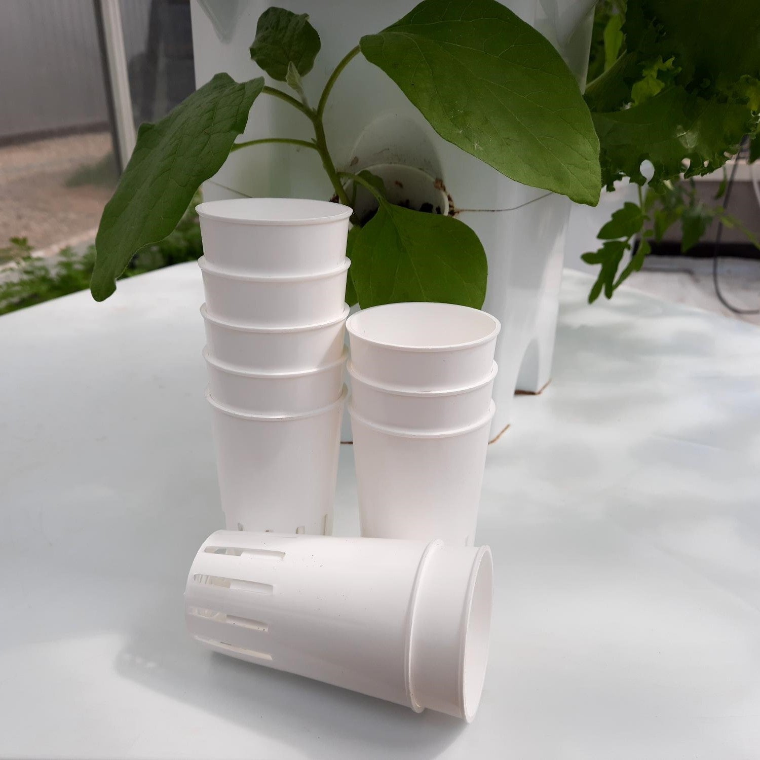 Aerospring Growpot (10 units)