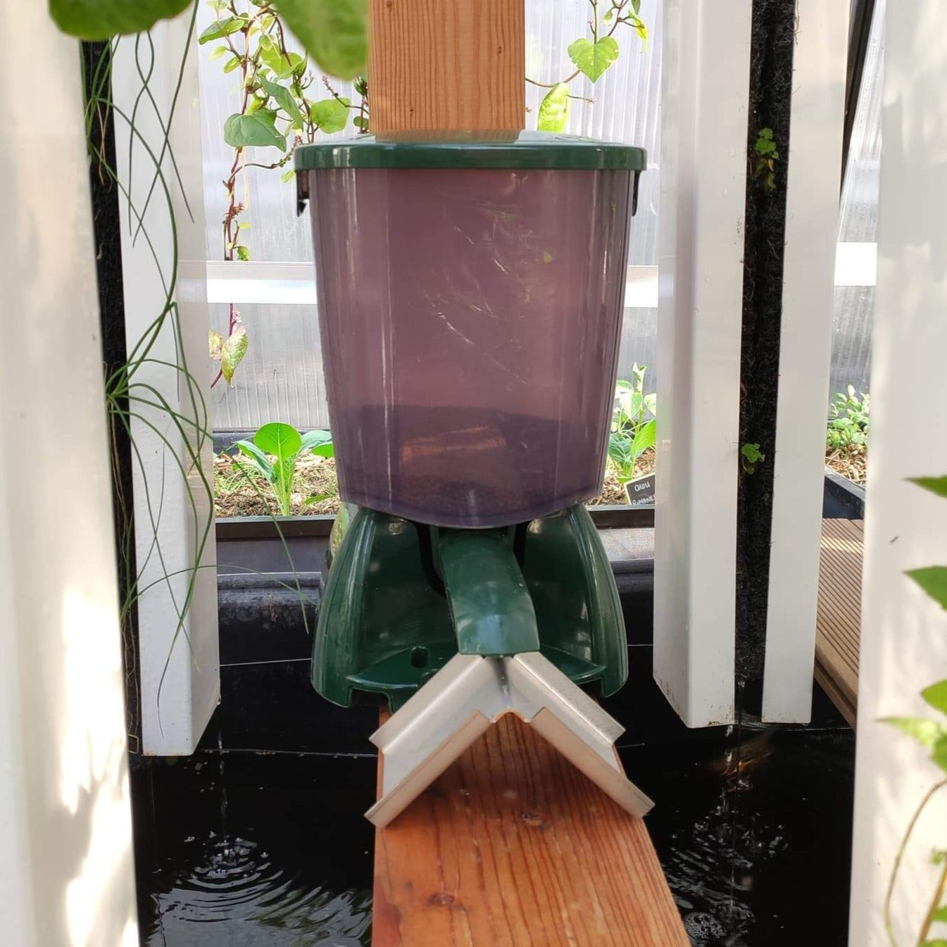 Distributeur automatique de nourriture pour poisson