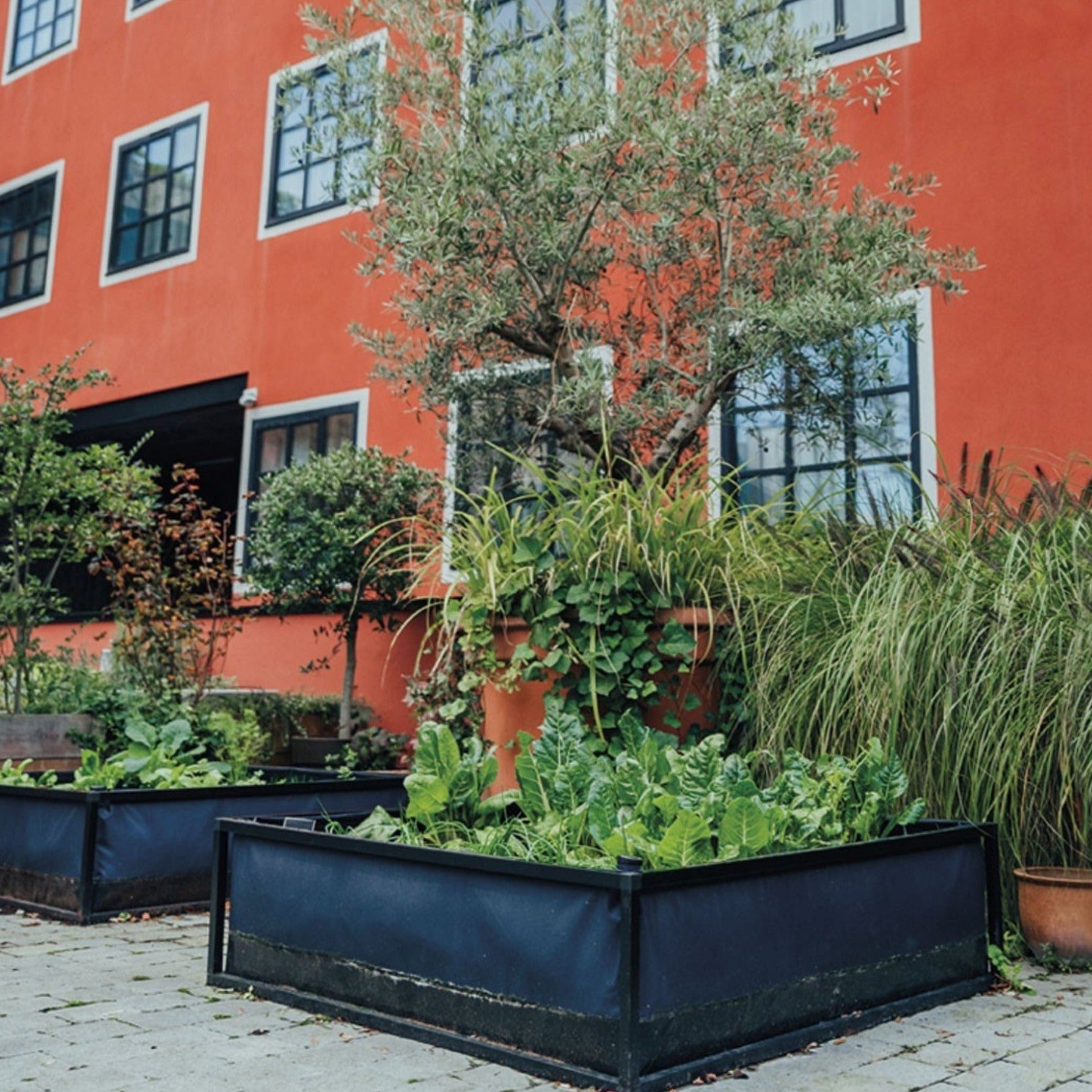 Potager en permaculture L