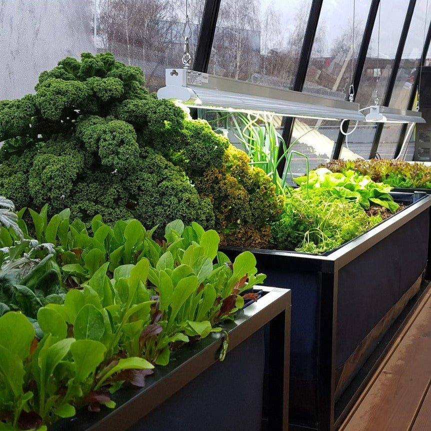 Perma L Vegetable Garden Ready-to-Ship