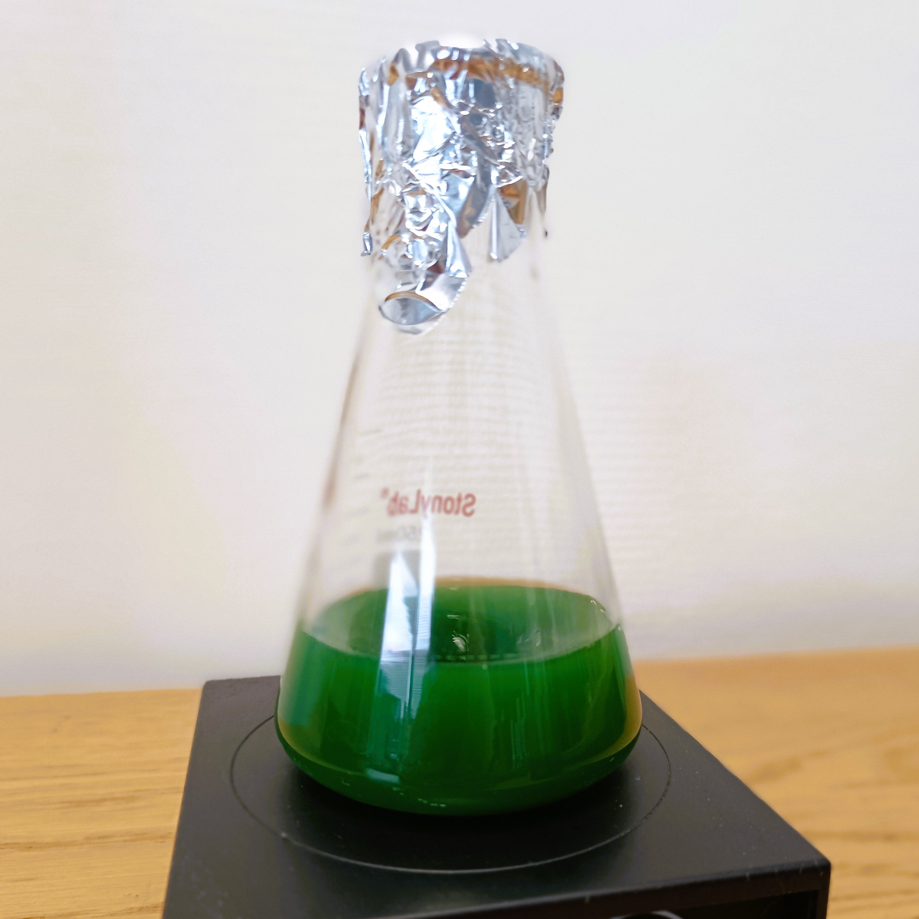 Spirulina Inoculum 1L - Grow your own spirulina