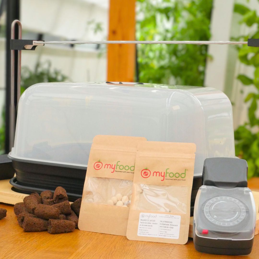 Incubateur à Semis LED – Mini Serre de germination