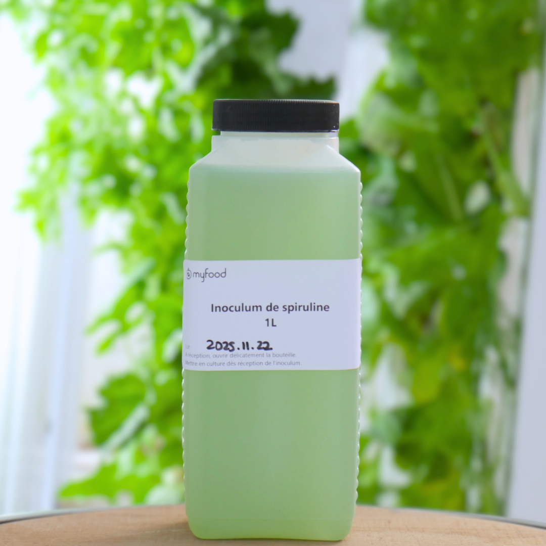 Spirulina-Inokulum – 1 L Starterkultur