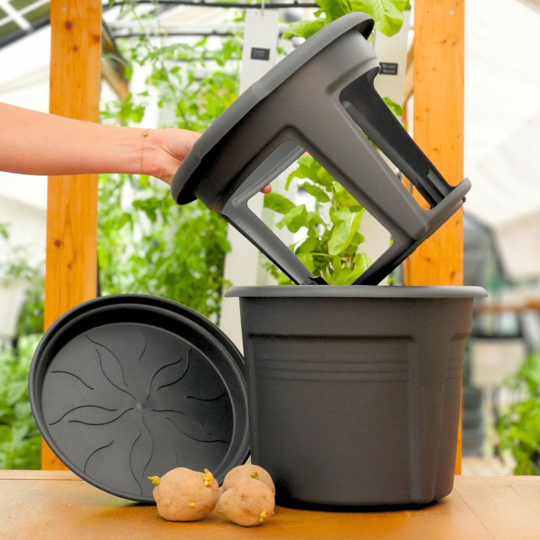 Knollen-Anbau-Kit – 3 Ergonomische Töpfe