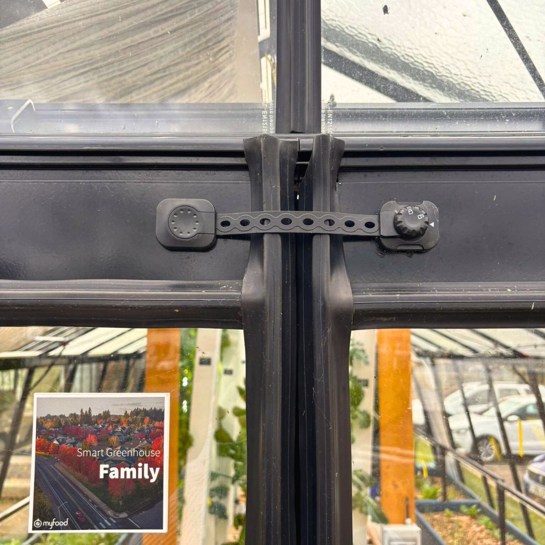 Verrou de sécurité pour porte de serre (x2)