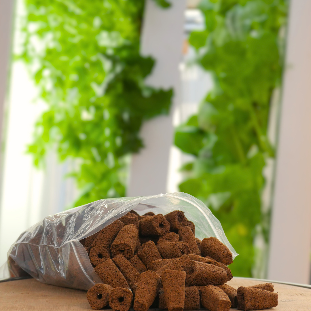 Mottes semis pressés - Lot de 160 unités