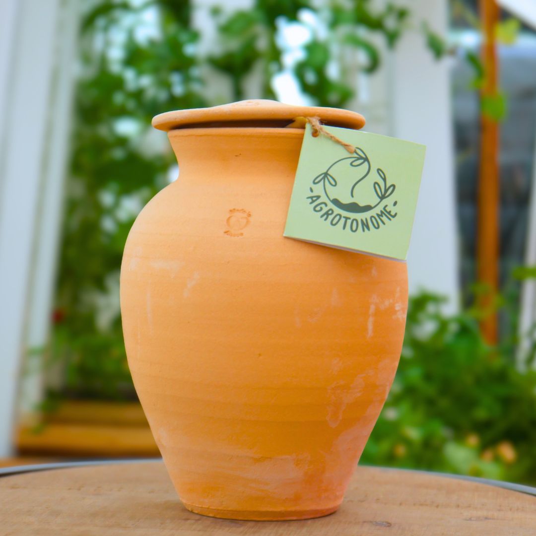 Olla -  jarre d'irrigation à enterrer - 2L