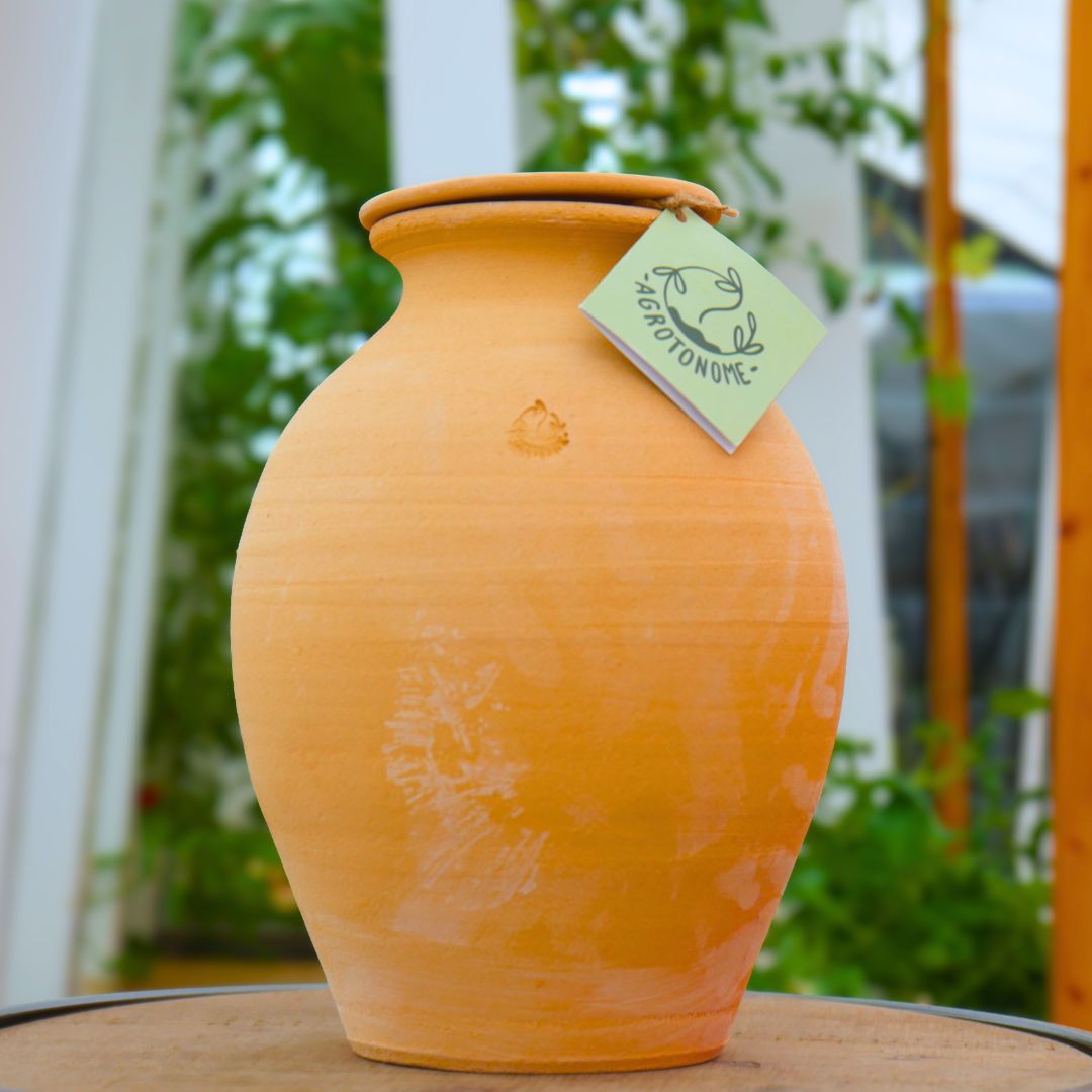 Olla - jarre d'irrigation à enterrer - 4L