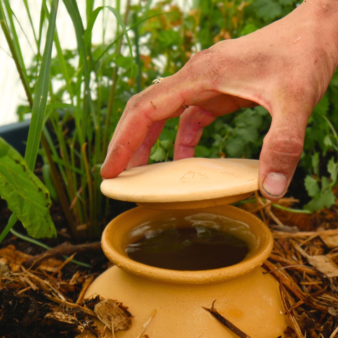 Olla - jarre d'irrigation à enterrer - 4L