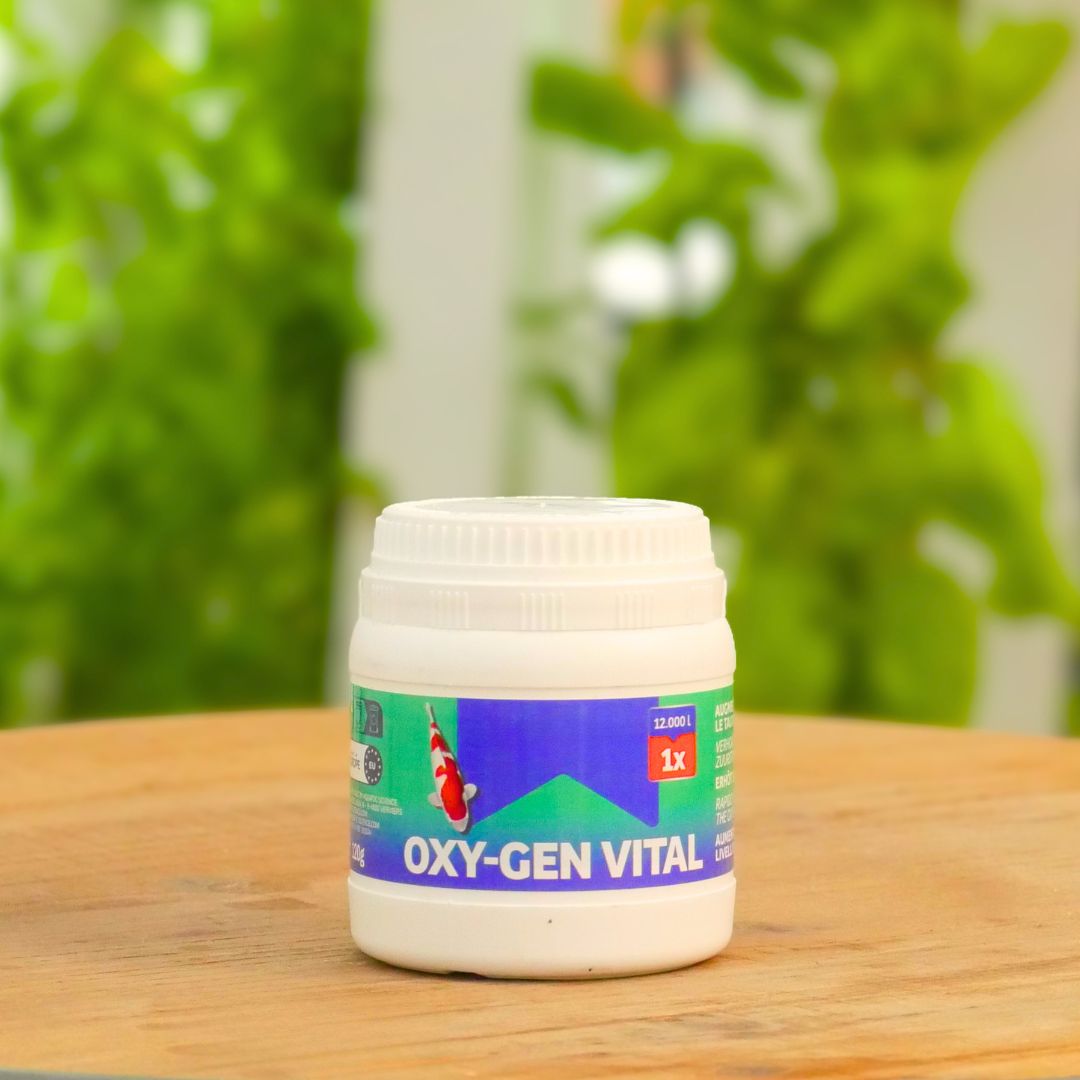 Tank Oxygenation – Rapid Treatment | Oxy-gen Vital