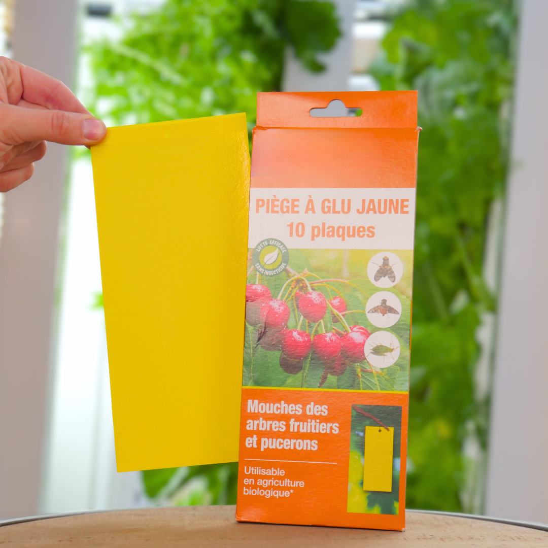 Yellow Sticky Traps – Insect Control (Pack of 10)