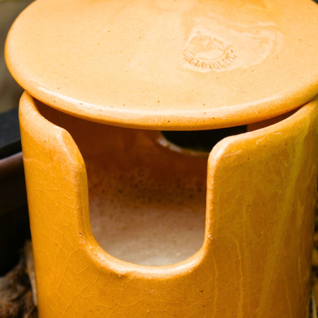 Piège à limaces
