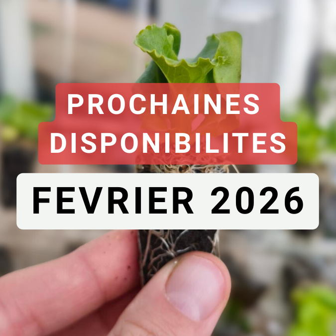 Plants Prêts-à-Pousser