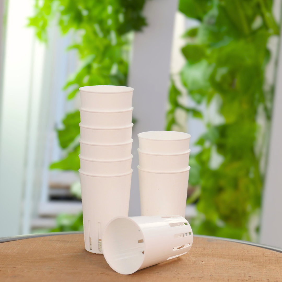 Kulturbecher – Aerospring (10er Pack)