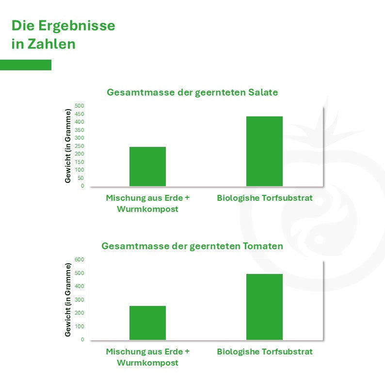 Neuen Perma-Beete 