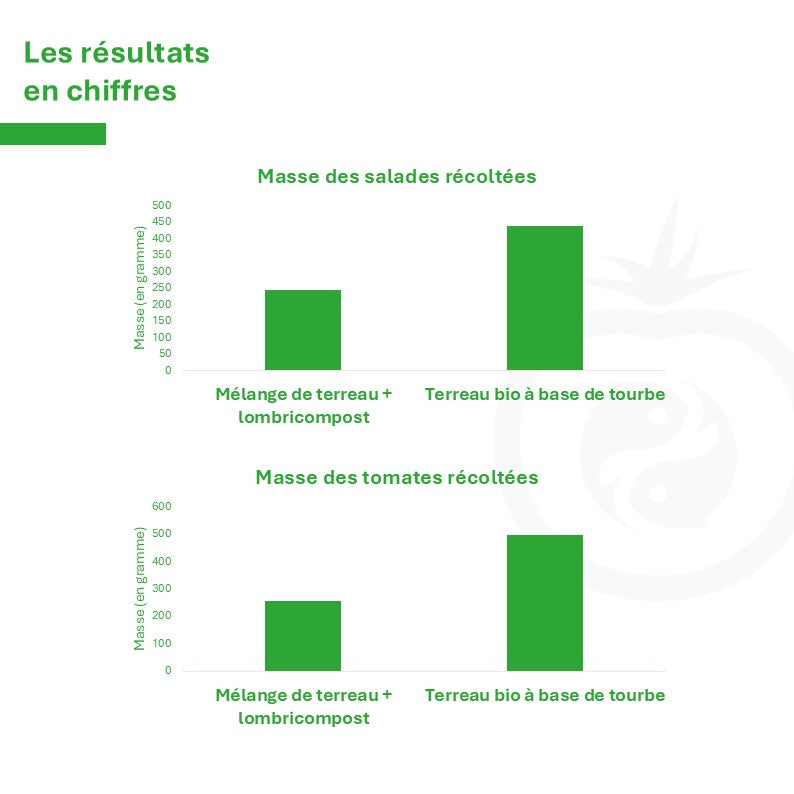 Bac de permaculture nouvelle génération