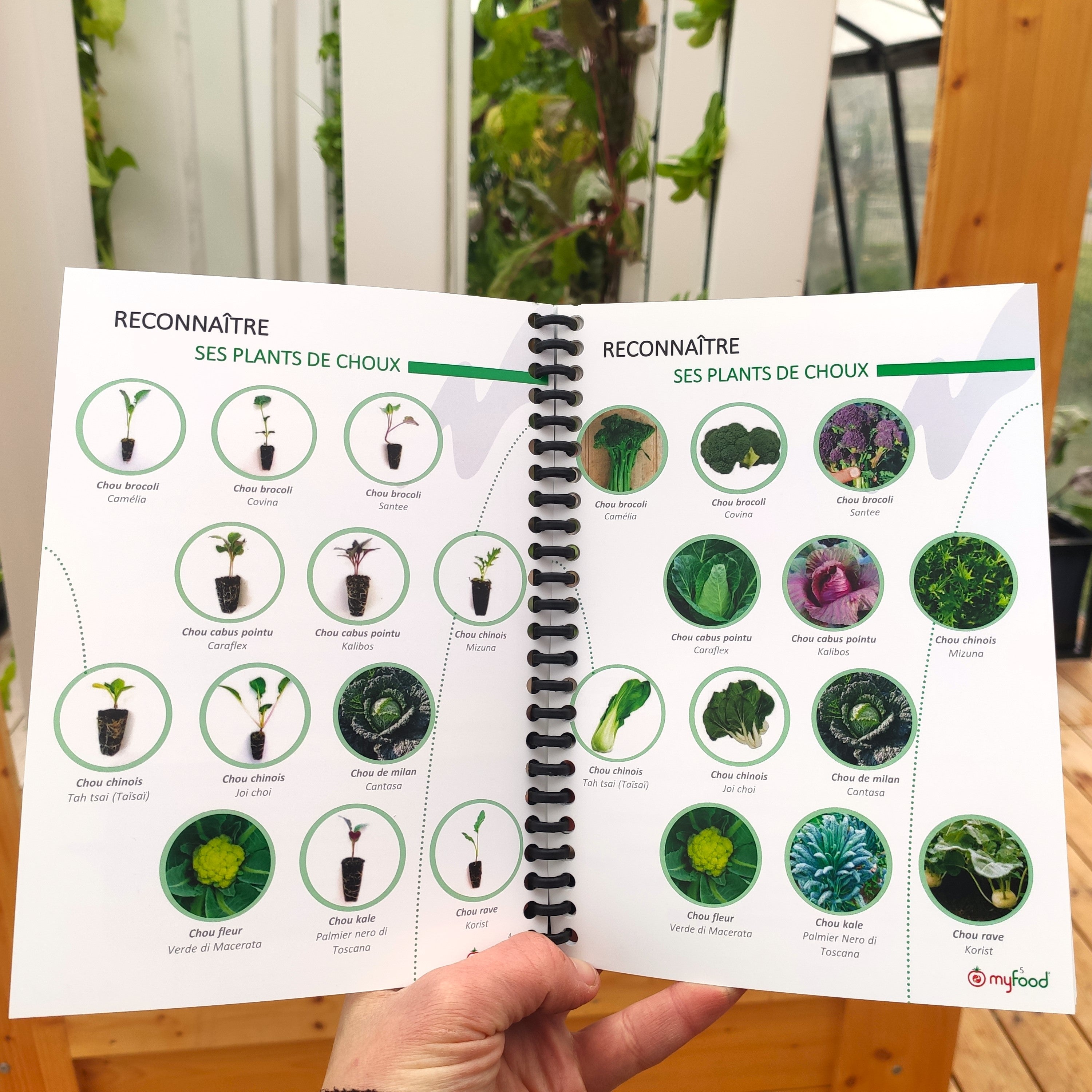 Livret - guide de reconnaissance des plantes
