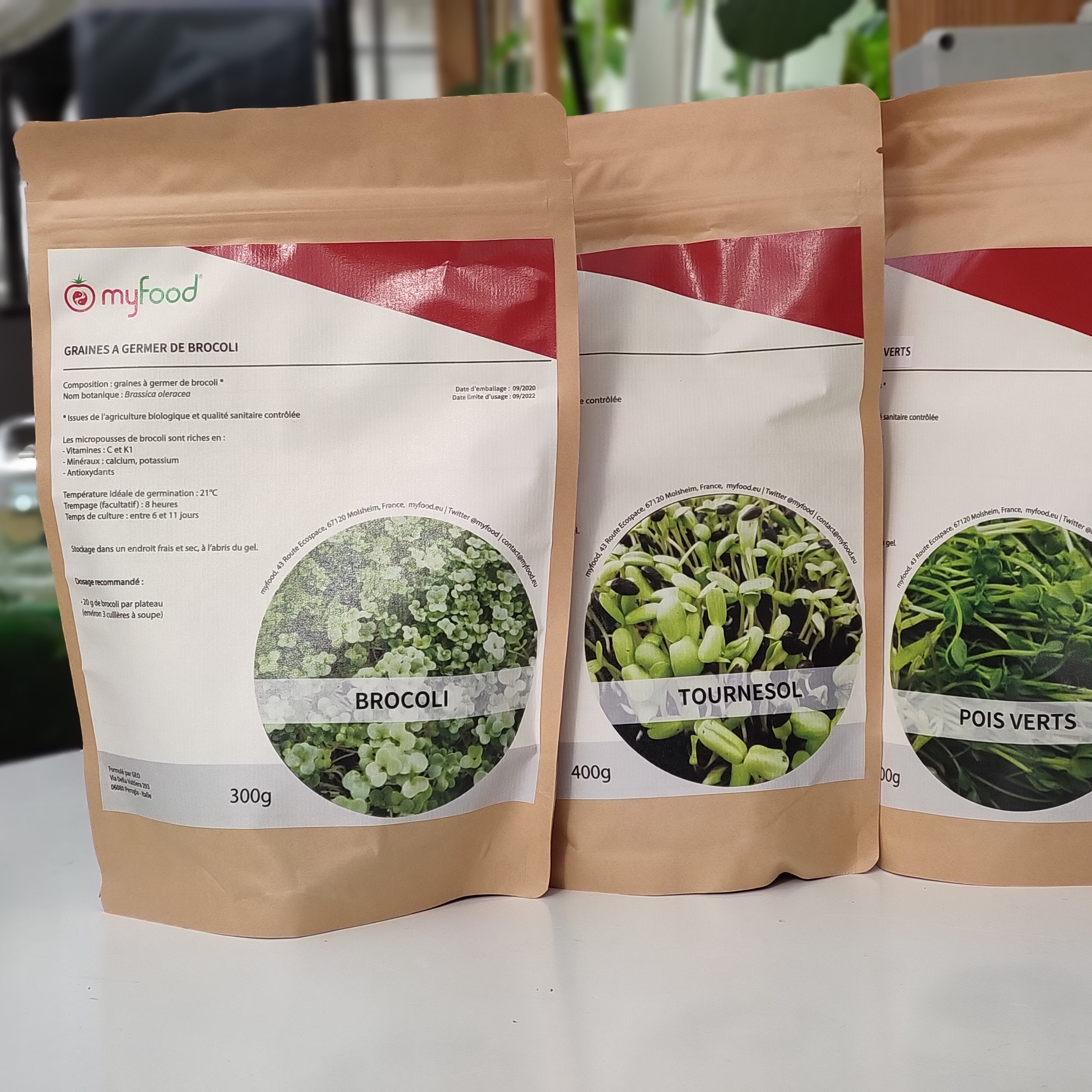 Kit graines micropousses - brocoli, pois vert, tournesol