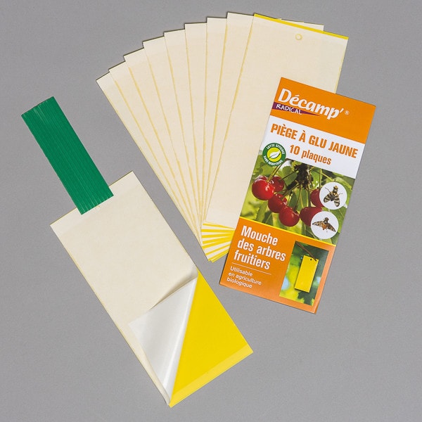 Plaques engluées jaunes (lot de 10 feuilles)